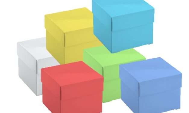 Haut Potentiel, Neuro-atypique, Zèbre… Comment se retrouver soi-même ?